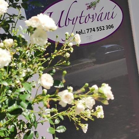 Apartman Cafe U Kordulky Ratiskovice Exterior photo